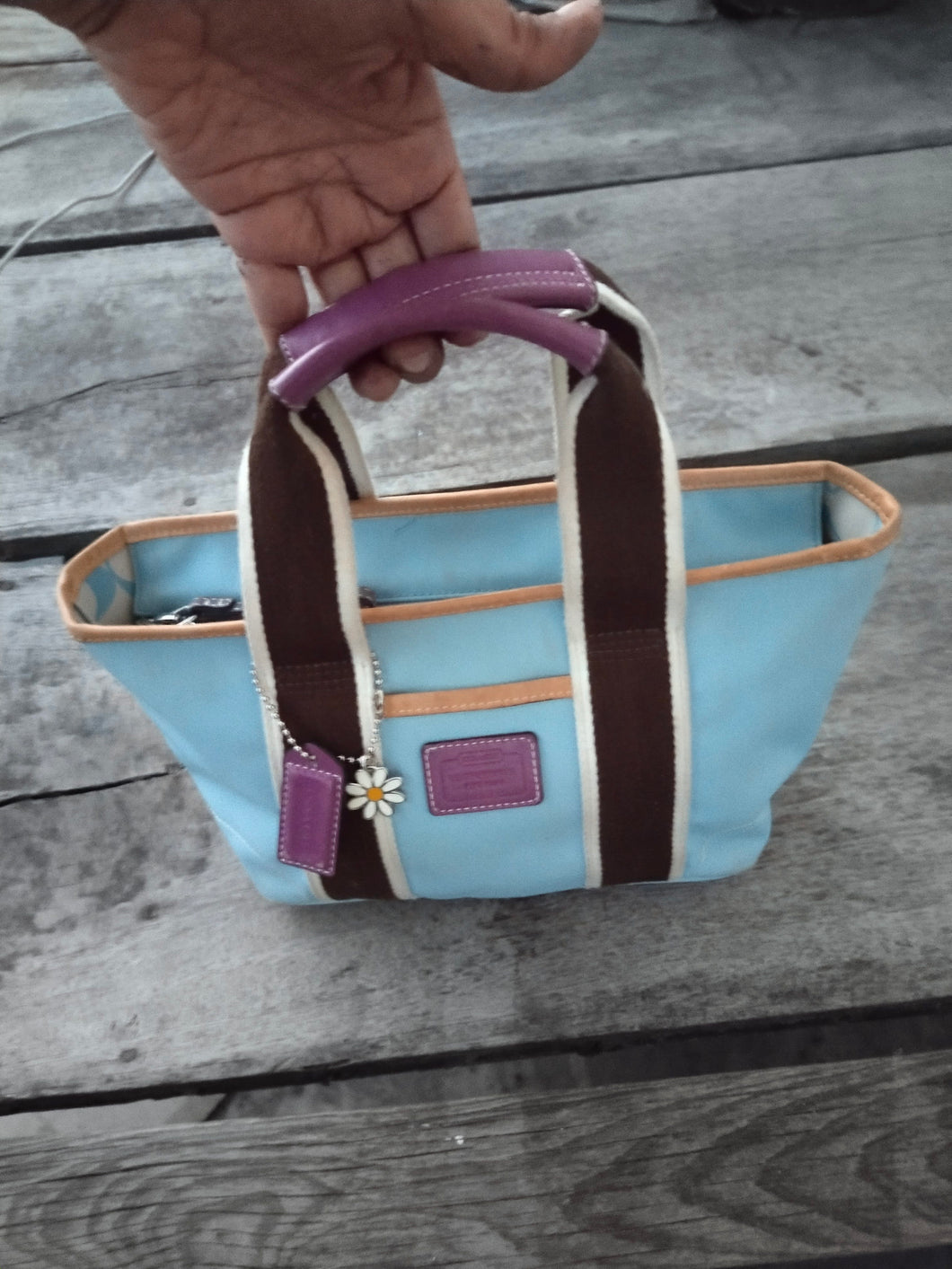 Coach Hampton Tote Mini B05M-6266